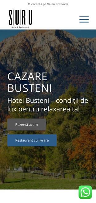 hotel busteni